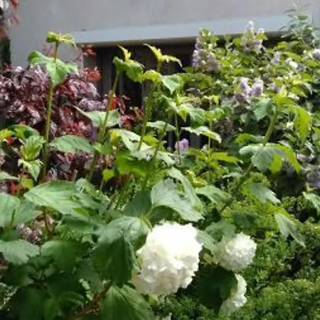 Renove Avec Terrasse Pres De Nancy - Calme Et Charme Garanti Tonnoy